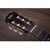 taylor 314ce-N Melody Music Caen