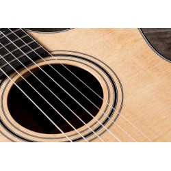 taylor 314ce-N Melody Music Caen