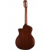 taylor 314ce-N Melody Music Caen