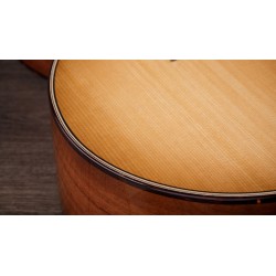 Taylor 514ce Melody Music