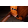 Taylor 514ce Melody Music Caen
