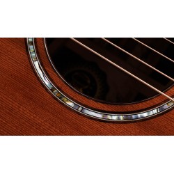Taylor 814ce Builder Edition 50e anniversaire Melody Music Caen