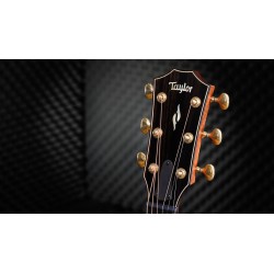 Taylor 814ce Builder Edition 50e anniversaire Melody Music Caen