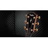 Taylor 814ce Builder Edition 50e anniversaire Melody Music Caen