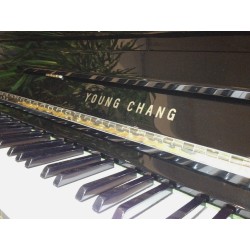 Young Chang Melody music caen