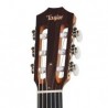 Taylor 214ce-N Nylon Electro acoustique