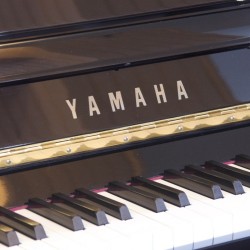 Yamaha E116T occasion