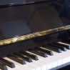 Yamaha E116T piano occasion melody music caen