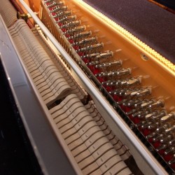 Steiner 110 Piano acoustique
