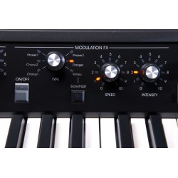 Korg SV1 Occasion melody music caen