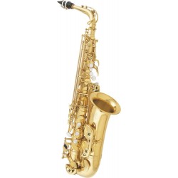 SML Saxophone Alto A420 II melody music caen