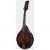 Eastman Mandoline MD305 melody music caen