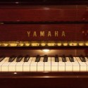 Yamaha P116 T Occasion melody music Caen