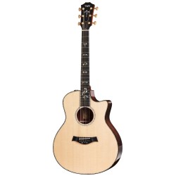 Taylor 916ce Melody music caen