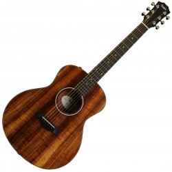 Taylor GS Mini Electro Koa Melody Music Caen