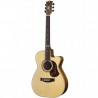 Maton EBG808TEC