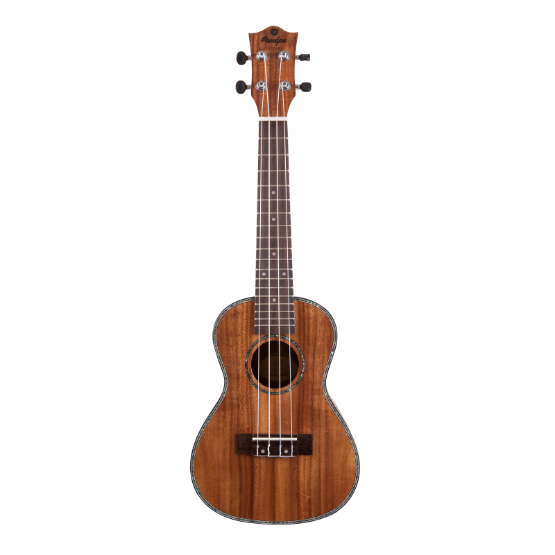 JM Forest BC2380 Ukulele Concert Melody music caen