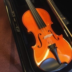 Herald Violon AS144-E Ebene Melody music caen