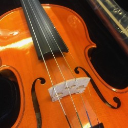 Herald Violon AS144-E Ebene Melody music caen