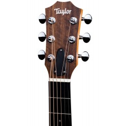 Taylor GS Mini Limited Electro Palissandre