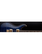 Paul Reed Smith Guitars